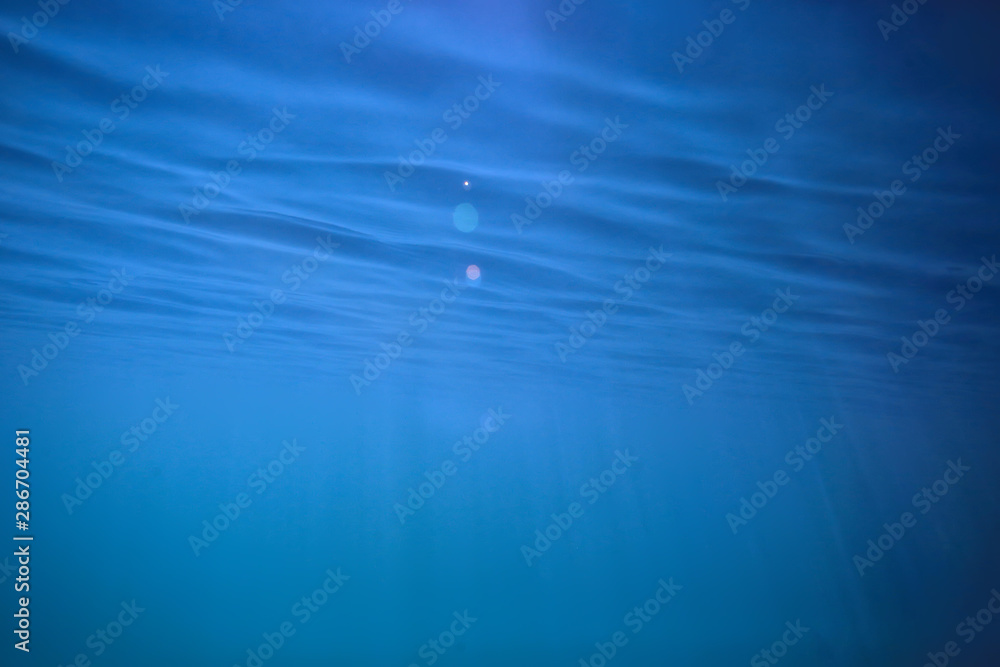 lake background water underwater abstract / fresh water diving background nature underwater ecosystem background lake background water underwater abstract / fresh water diving background nature underwater ecosystem background