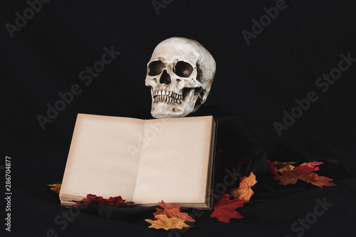 Human skull with book on black background