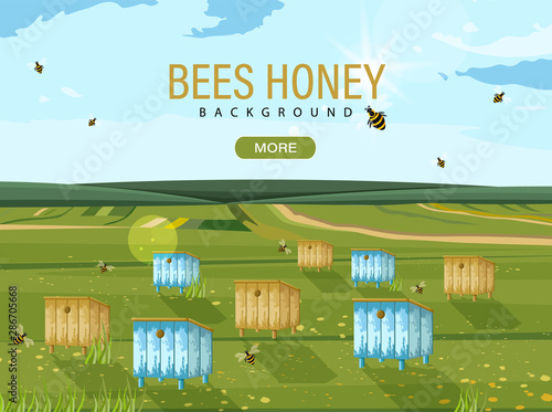 Honey bee hive Vector. Bees flying. nature background templates