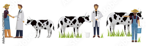 Vet doctor and cows Vector. Medicine poster project layout templates
