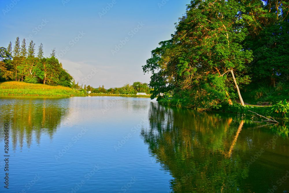 Fototapeta premium The house is surrounded by mountains, surrounded by nature and trees, which are quiet and beautiful. With lawn and sitting area