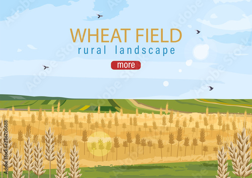 Wheat field Vector autumn hay harvesting posters
