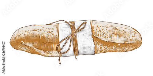 Vector engraved style illustration for posters, decoration and print. Hand drawn sketch of colorful french baguette isolated on white background. Detailed vintage woodcut style drawing.