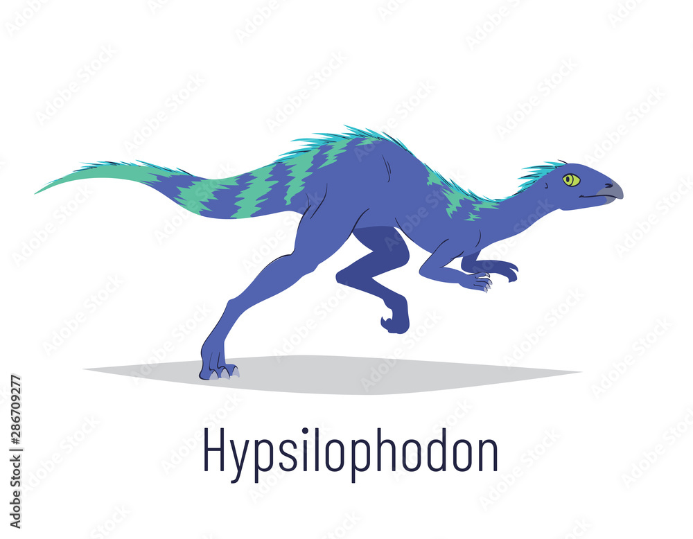 Obraz premium Hypsilophodon. Ornithischian dinosaur. Colorful vector illustration of prehistoric creature hypsilophodon in hand drawn flat style isolated on white background. Fast fossil dinosaur.