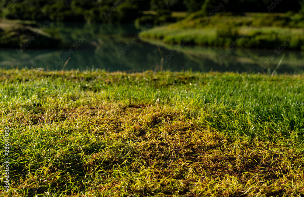 dock in the lake Mockup Background Photo dock in the lake Mockup Background Photo