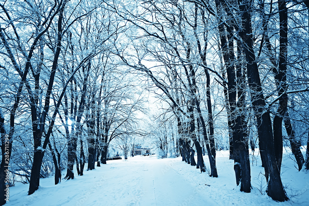 Naklejka premium winter park, cityscape in winter weather / landscape snow, city, trees in a city park in the north