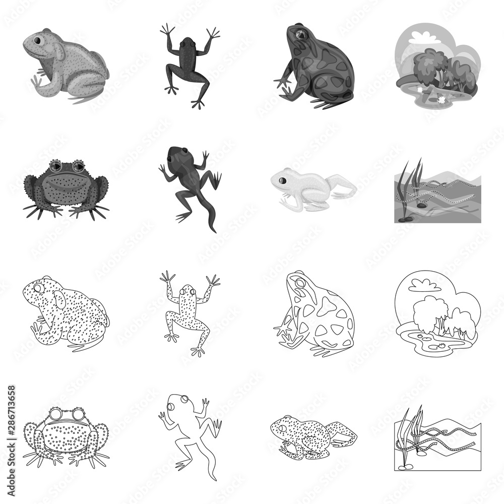 Naklejka premium Vector design of wildlife and bog logo. Collection of wildlife and reptile stock vector illustration.