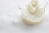 splash on the surface of white milk on a white background