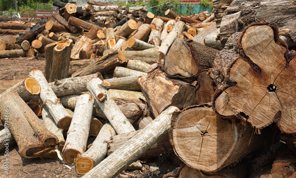 Pile of logs and woods in wood factory waiting for further cutting process. Pile of logs and woods in wood factory waiting for further cutting process.