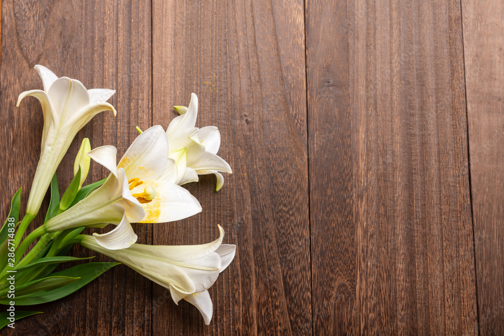 Naklejka premium 白ゆり