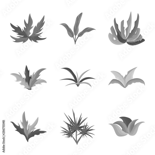 Vector illustration of foliage and floral sign. Collection of foliage and summer stock symbol for web.