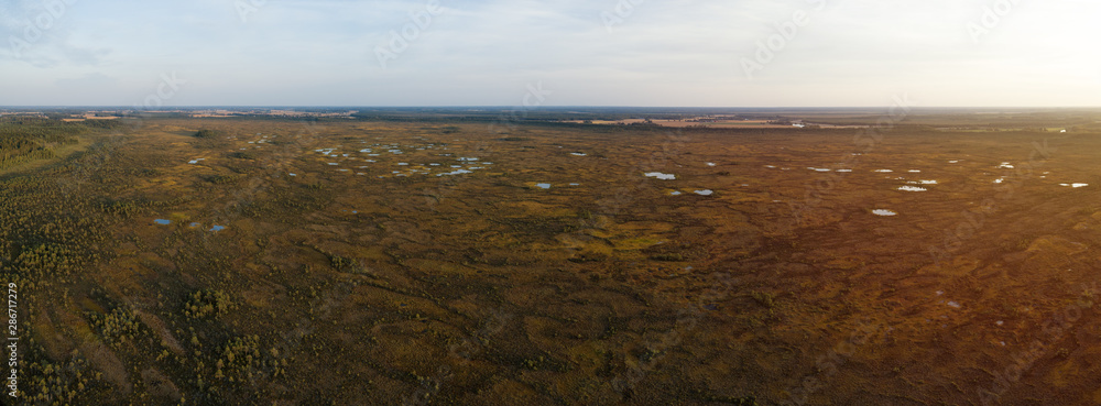 Aerial view of swamp at sunset. Beautiful summer panorama.  Small trees and lakes. Puurijarvi and Isosuo national park. Finland
