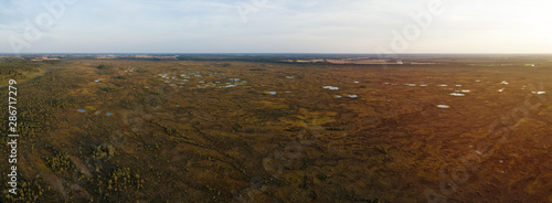 Aerial view of swamp at sunset. Beautiful summer panorama.  Small trees and lakes. Puurijarvi and Isosuo national park. Finland