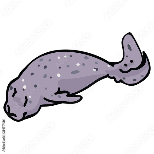 Cute swimming sea lion vector. Ocean mammal clipart. 