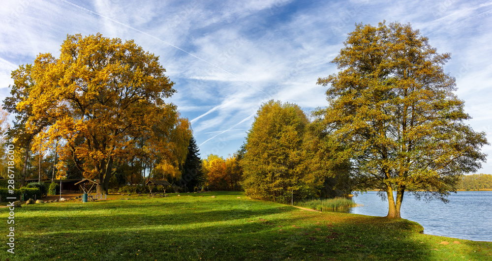 Colorful, yellow and ocher trees at Netzener Lake near the East German city of Brandenburg. It is early autumn and the first foliage is falling. Blue water and sunshine.