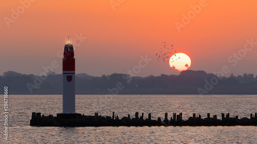 Sunrise over the Baltic Sea island Rügen. In the foreground a dam in the harbor of the city Stralsund. The lighthouse flashes and a flock of birds flies in front of the sun.