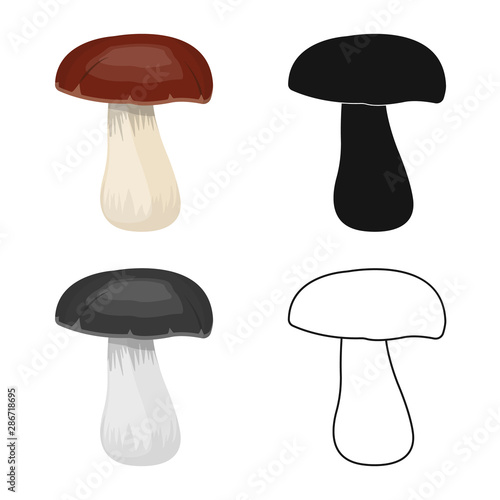 Vector design of mushroom and healthy symbol. Collection of mushroom and white stock symbol for web.
