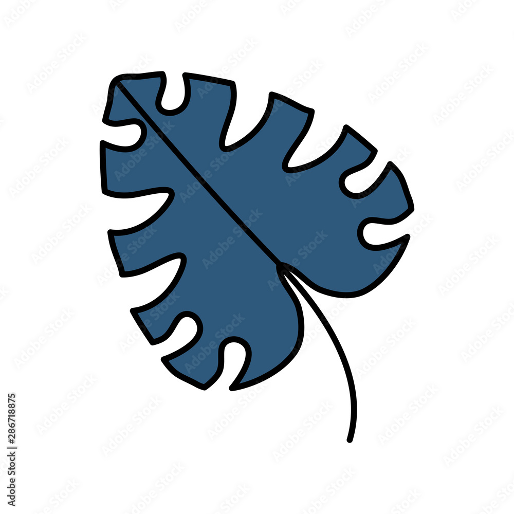 Fototapeta premium exotic and tropical leaf plant