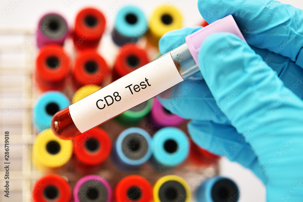 Obraz premium Blood sample tube for cytotoxic T cell lymphocyte or CD8 test