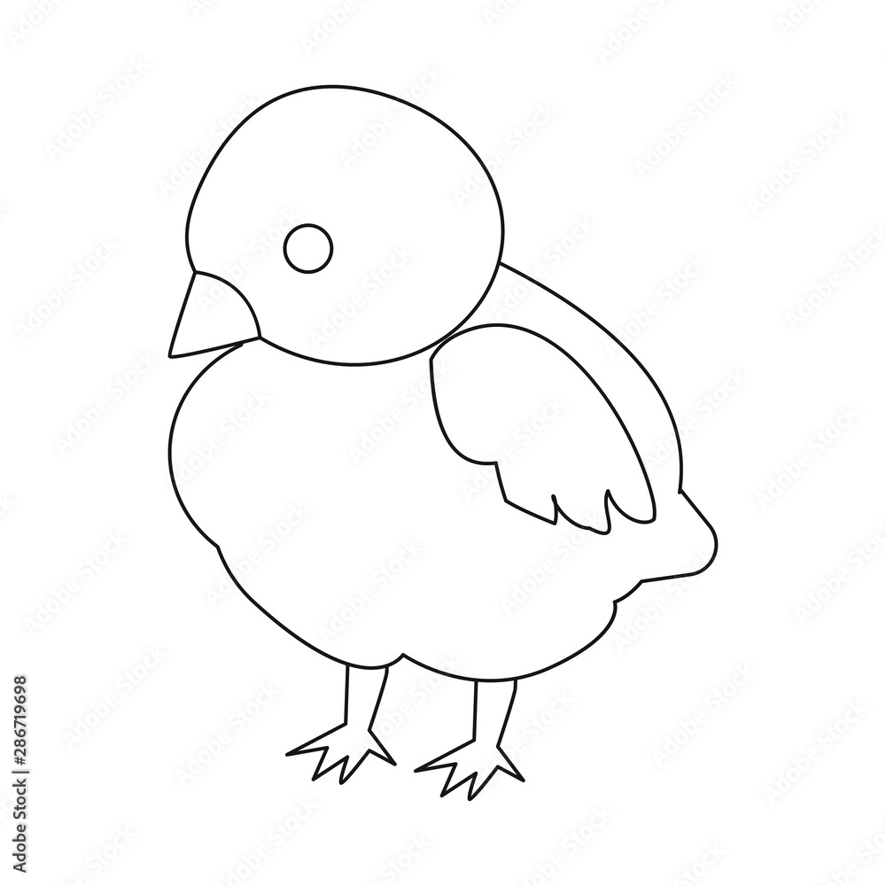 Isolated object of baby and chick sign. Collection of baby and animal stock symbol for web. Isolated object of baby and chick sign. Collection of baby and animal stock symbol for web.