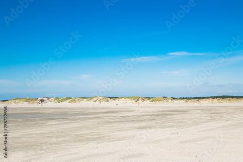 Fototapeta Naklejka Na Ścianę i Meble -  The Beach of Sankt Peter-Ording - Sand Dunes - Northern Germany - Schleswig-Holstein