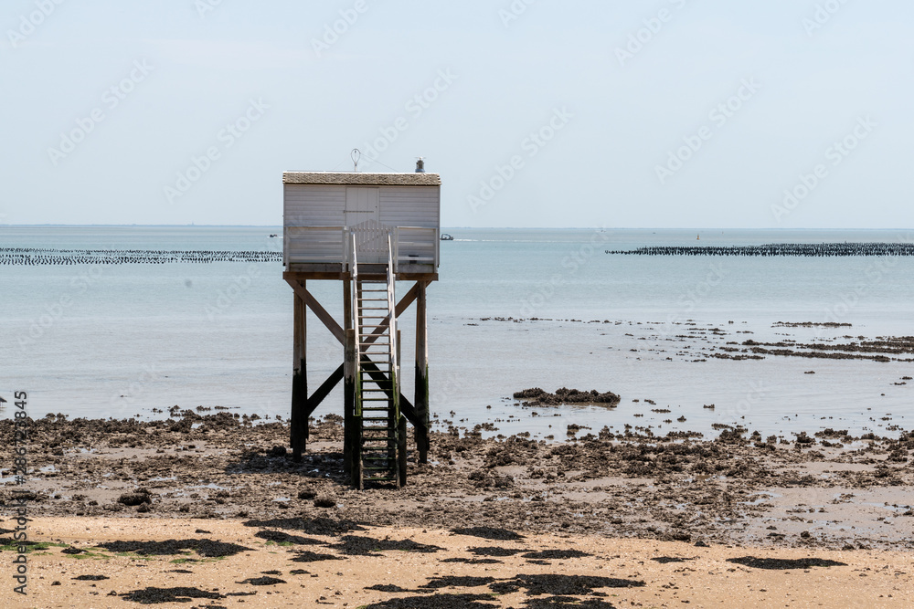 fisherman wooden hut in Aix island Charente maritime France in french Atlantic coast fisherman wooden hut in Aix island Charente maritime France in french Atlantic coast