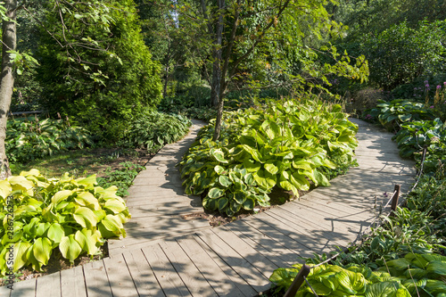 Canvas Print Beautiful and neat paths in the botanical garden.