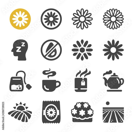 chamomile flower icon set,vector and illustration