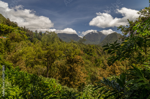 Scenic view of a green landscape with mountain range in the background, trees, colored plants in front at island Reunion in the indian ocean on a sunny day with blue sky and white clouds