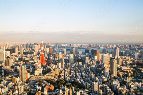 Tokyo tower  landmark of Japan