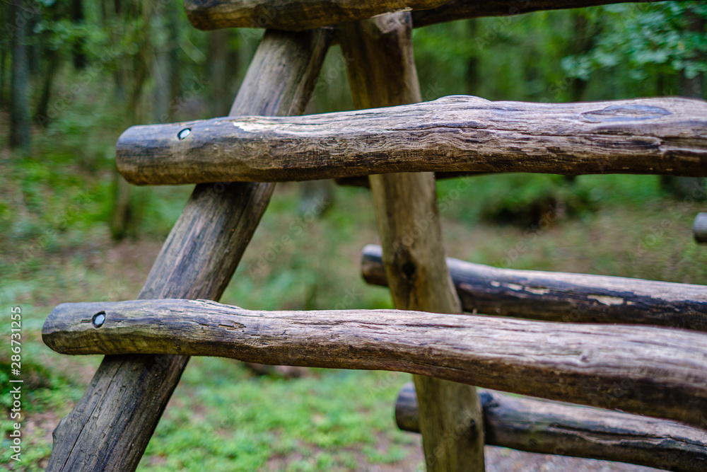 wooden stairs in summer green forest