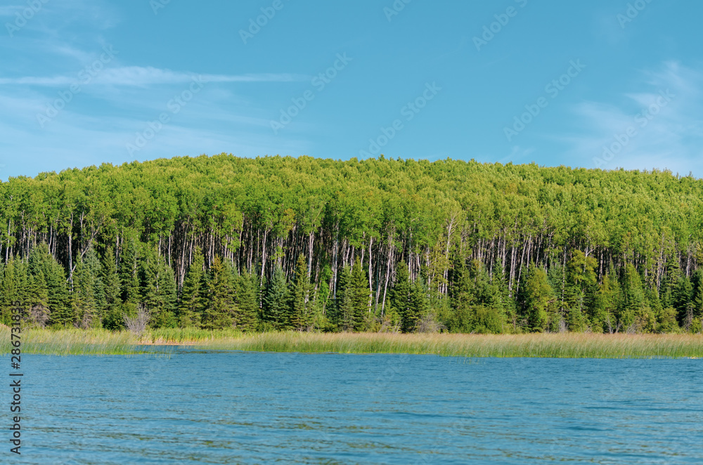 Canadian landscape - lake in duck mountain provincial park
