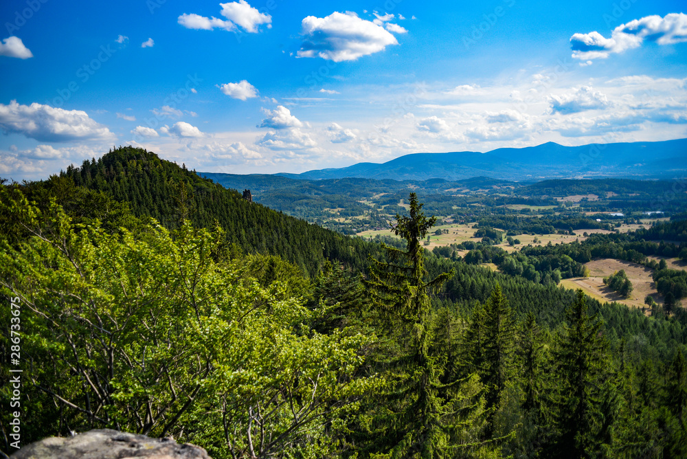 Fototapeta premium Landscape of Sokoliki, rock climbing area in Poland.