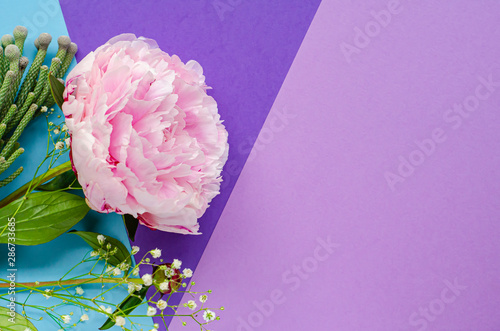 Composition with flowers. Peonies. Women's cards