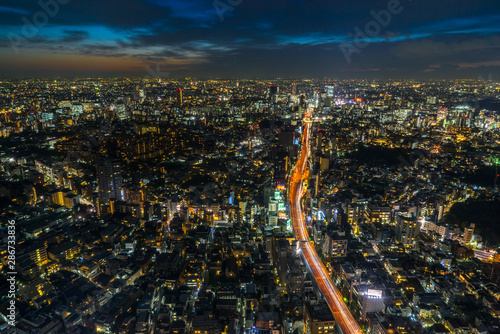 Tokyo city in twilight