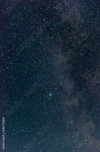 Starry night sky in duck mountain provincial park