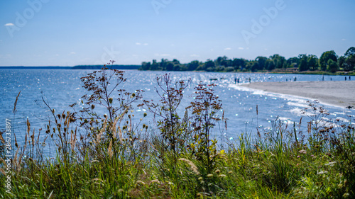 rocky seaside beach with blue water under summer sky