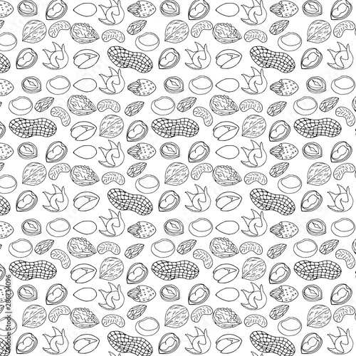 Sketch nuts vector seamless. Hand drawn outline nuts pattern. Food natural background.