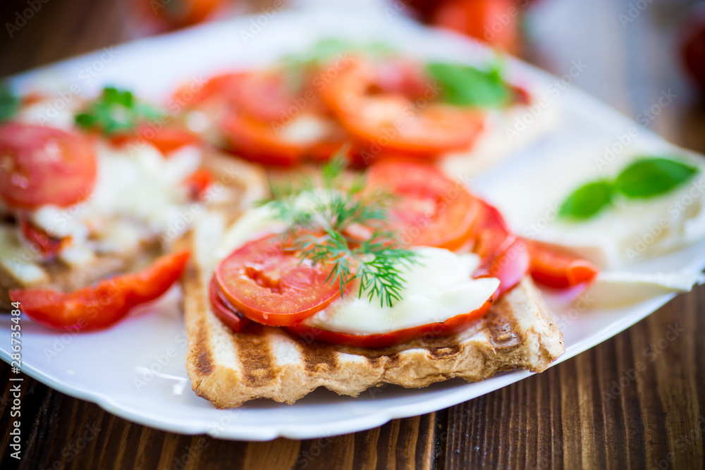 Closeup of a fresh sandwich with mozzarella, tomatoes Closeup of a fresh sandwich with mozzarella, tomatoes