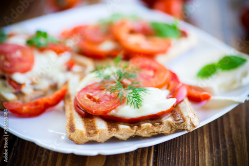 Closeup of a fresh sandwich with mozzarella, tomatoes