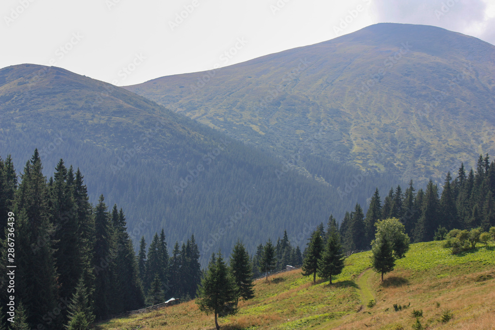 The majestic view of the beautiful mountains. Relaxing travel background. Tourist routes. Carpathians. Ukraine. Europe.