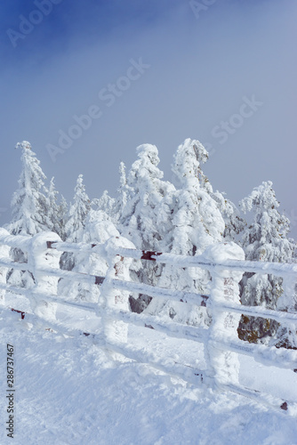 Winter on Postavarul Massif, Romania