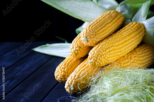 Fresh juicy yellow corn bonduel with green leaves lies on the wooden table photo