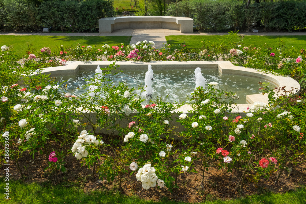 decorative garden fountain with rose