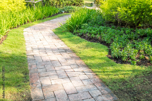 Stone walkway in garden