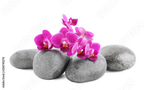 Orchid with spa stones on white background