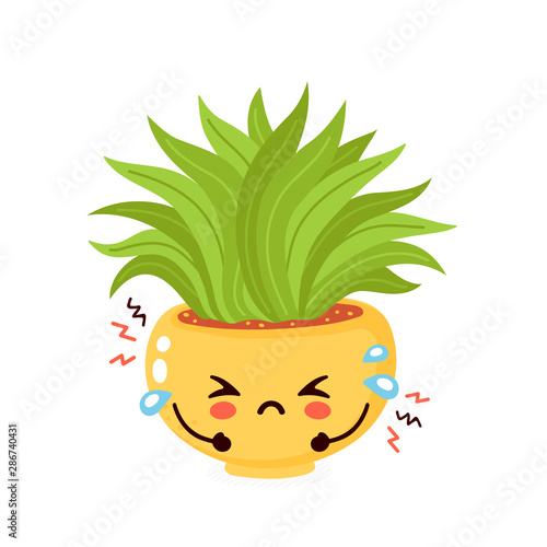 Cute sad cry old plant. Vector flat