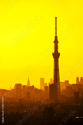 beautiful view of tokyo sky tree at sunset time
