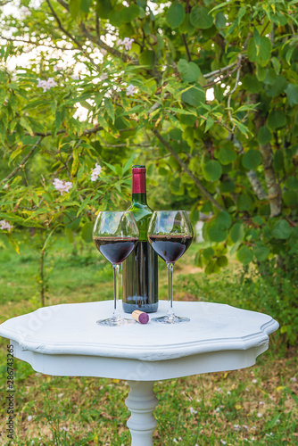 Two glasses and bottle of red wine on the white vintage table in the green garden,