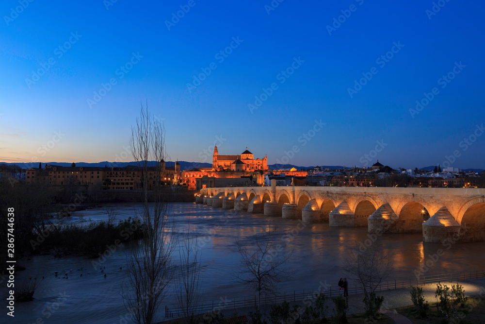 Cordoba,Spain,2,2014;view of roman bridge and cathedral at blue hour